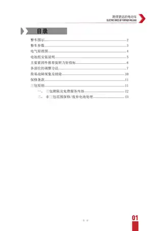tailg台铃台铃M2L-G TDT1195Z